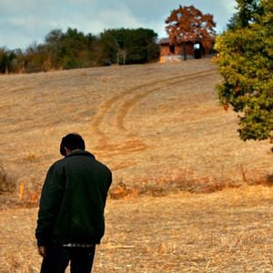 Fotoğraf Ahlat Ağacı