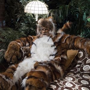 Fotoğraf Adam Rothenberg