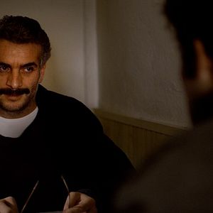 Fotoğraf Ahlat Ağacı