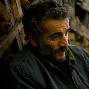 Fotoğraf Ahlat Ağacı