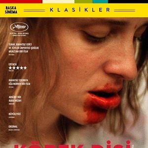 Fotoğraf Köpek Dişi