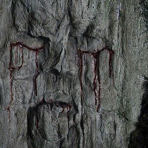 Fotoğraf Game of Thrones