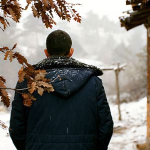 Fotoğraf Ahlat Ağacı