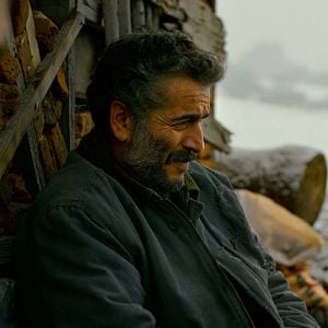 Fotoğraf Ahlat Ağacı