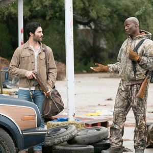 Fotoğraf The Domestics