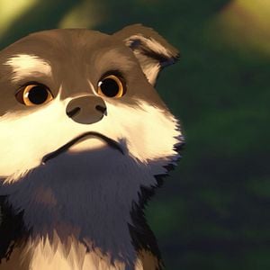 Fotoğraf Beyaz Diş