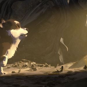 Fotoğraf Beyaz Diş