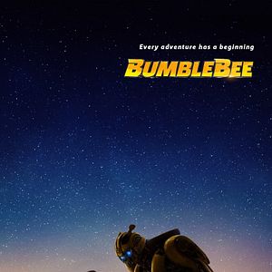 Fotoğraf Bumblebee