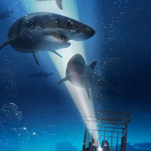 Fotoğraf 47 Metre Derinde: Kafes