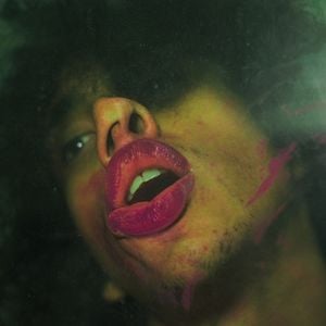 Fotoğraf Bixa Travesty