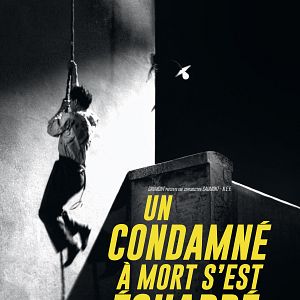 Fotoğraf A Man Escaped