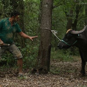 Fotoğraf Meleklerin Aşkı