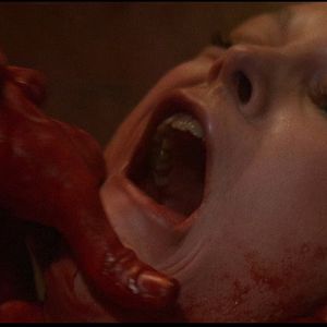 Fotoğraf Terror Train