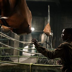 Fotoğraf Jovan Adepo