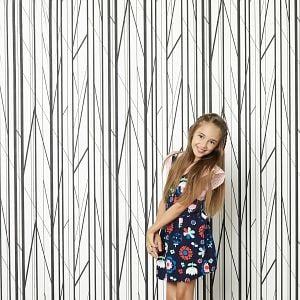 Fotoğraf American Housewife (2016)