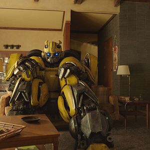 Fotoğraf Bumblebee