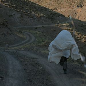 Fotoğraf Üç Hayat