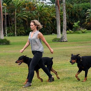 Fotoğraf Perdita Weeks