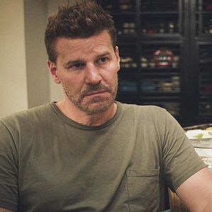 Fotoğraf David Boreanaz