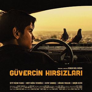 Fotoğraf Güvercin Hırsızları