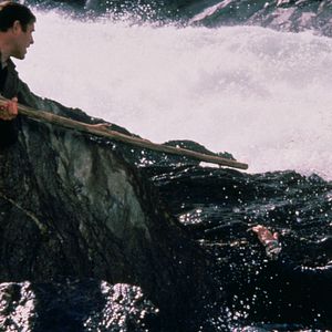 Fotoğraf Geceyarısı Avı