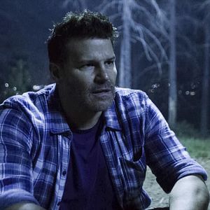 Fotoğraf David Boreanaz