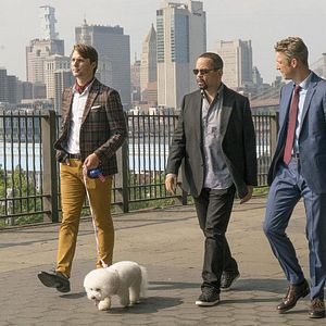 Fotoğraf Peter Scanavino