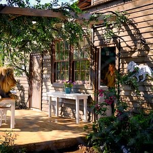 Fotoğraf Mélanie Laurent