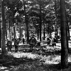 Fotoğraf The Big Parade