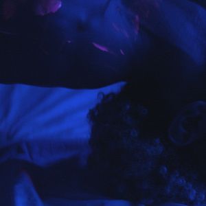 Fotoğraf Tinta Bruta