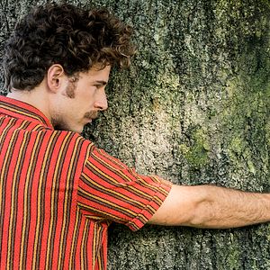 Fotoğraf El Árbol de La Sangre