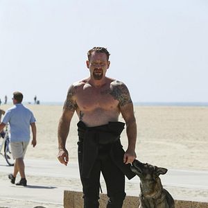 Fotoğraf Max Martini