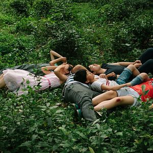 Fotoğraf Jiao qu de niao