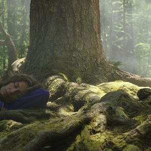 Fotoğraf Cécile de France