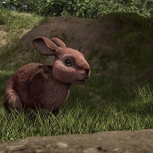 Fotoğraf Watership Down