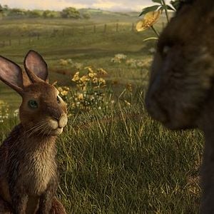 Fotoğraf Watership Down