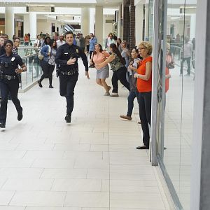 Fotoğraf Afton Williamson