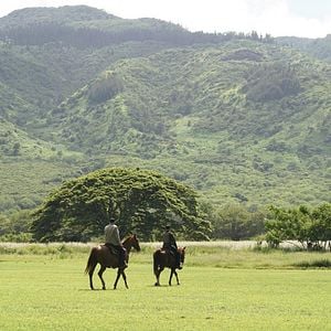 Fotoğraf Terry O'Quinn