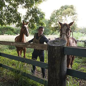 Fotoğraf Alex O'Loughlin