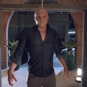 Fotoğraf Bernardo P. Saracino