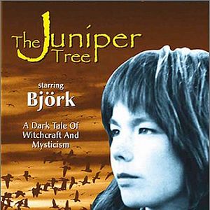 Fotoğraf Einitréð