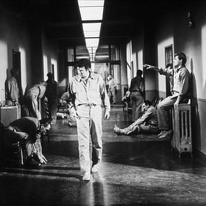 Fotoğraf Shock Corridor