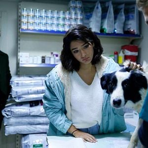 Fotoğraf Şahin Tepesi