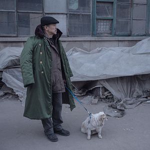 Fotoğraf Öylece Oturan Bir Fil