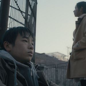 Fotoğraf Öylece Oturan Bir Fil