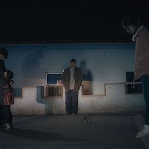 Fotoğraf Öylece Oturan Bir Fil