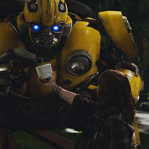 Fotoğraf Bumblebee