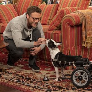 Fotoğraf Jake McDorman