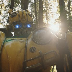 Fotoğraf Bumblebee