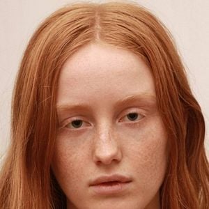 Fotoğraf India Menuez